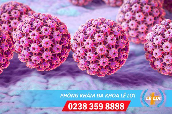 Những triệu chứng bệnh sùi mào gà thường gặp
