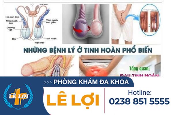 Những kiến thức cần biết về các căn bệnh ở tinh hoàn