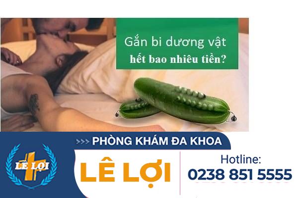 Giá tiền gắn bi dương vật hiệu quả
