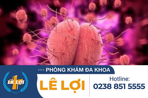 Song cầu khuẩn lậu gây bệnh gì?