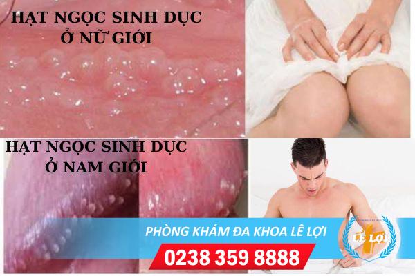 hat-ngoc-o-sinh-duc